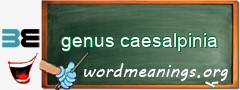 WordMeaning blackboard for genus caesalpinia